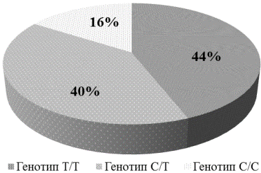 Рис. 1. Распределение генотипов полиморфного маркера rs659366 гена UCP2 у больных СД 2 типа.