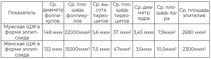 Таблица 1. Гистологические показатели щитовидной железы в форме эллипсоида, уплощенного в сагиттальной плоскости со средним размером длины и ширины