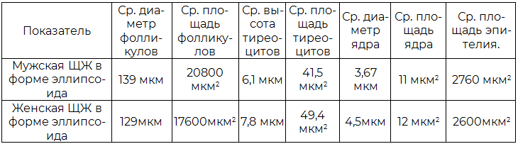 Таблица 2. Гистологические показатели щитовидной железы в форме эллипсоида с долями средней длины и ширины