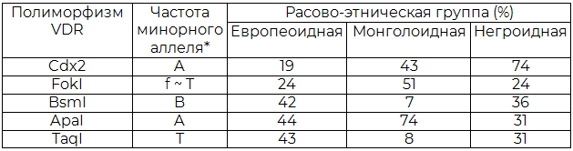 Таблица 1. Сравнение частоты аллелей VDR в трех основных расово-этнических для наиболее изученных полиморфизмов