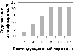 Рис. 6. Эффект воздействия продолжительности постиндукционного периода на синтез лактоферрина (процентное содержание от общего клеточного белка).