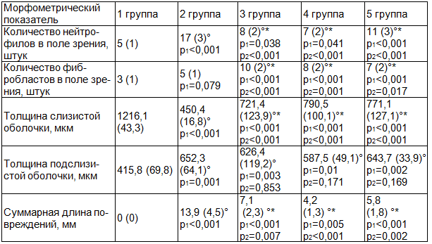 Таблица 2. Морфометрические показатели слизистой и подслизистой оболочек желудка у крыс при создании этаноловой модели язвы желудка (M (SD))