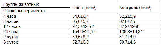 Таблица 2. Площадь кровеносного русла в ткани париетальной брюшины в разные сроки эксперимента