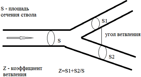 Рис. 1. Измерение угла ветвления и коэффициента ветвления сосудов.
