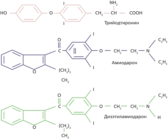 Рисунок 1. Химическая структура амиодарона, трийодтиронина и дизэтиламиодарона [14].